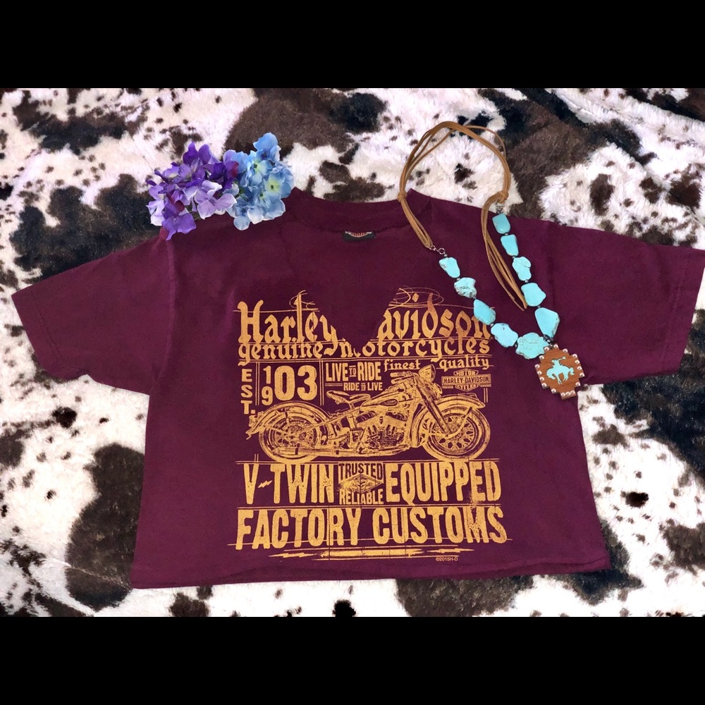Vintage Harley Davidson shirt